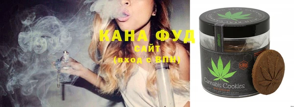 гидра Богородицк