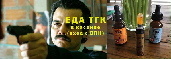 гидра Богородицк