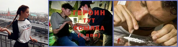 гидра Богородицк