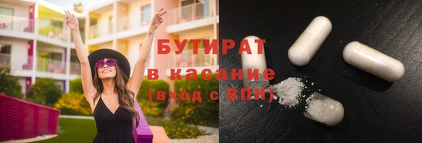 гидра Богородицк
