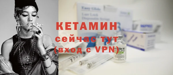 гидра Богородицк