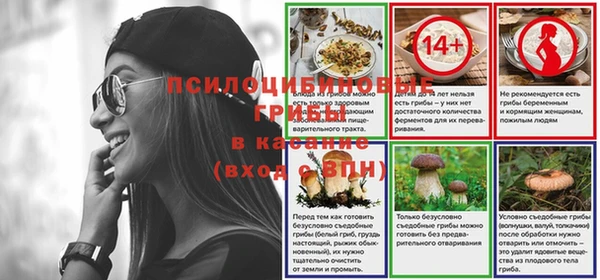 гидра Богородицк