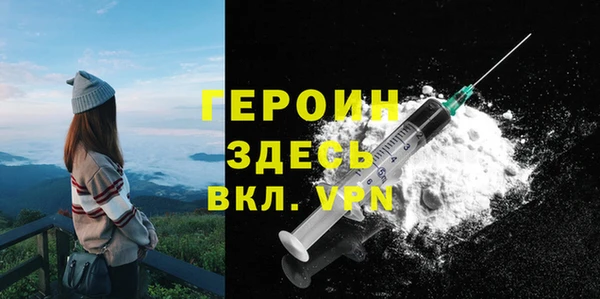 гидра Богородицк