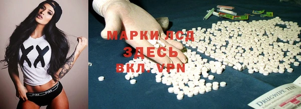 гидра Богородицк