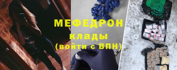гидра Богородицк