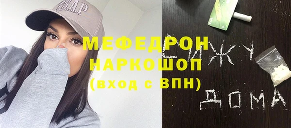 гидра Богородицк